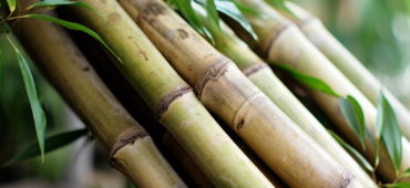 Eco friendly bamboo sheets