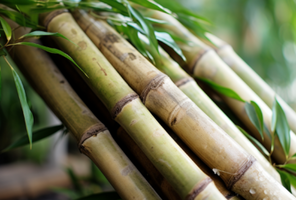 Eco friendly bamboo sheets