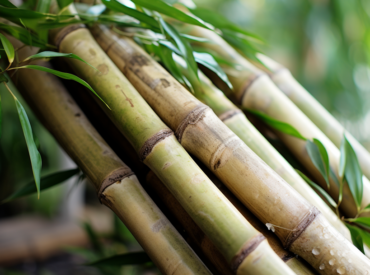 Eco friendly bamboo sheets