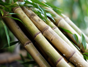 Eco friendly bamboo sheets
